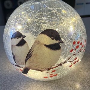 NIB glass ball, LED lights, bird pattern, wireless